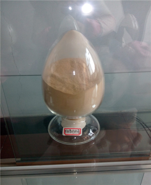 为您介绍胶质芽孢杆菌功效