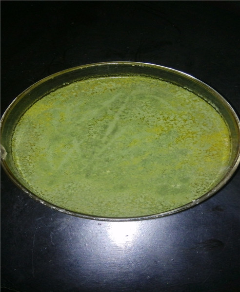 绿色木霉菌使用特点简介