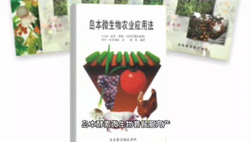 大姜高产优质种植技术