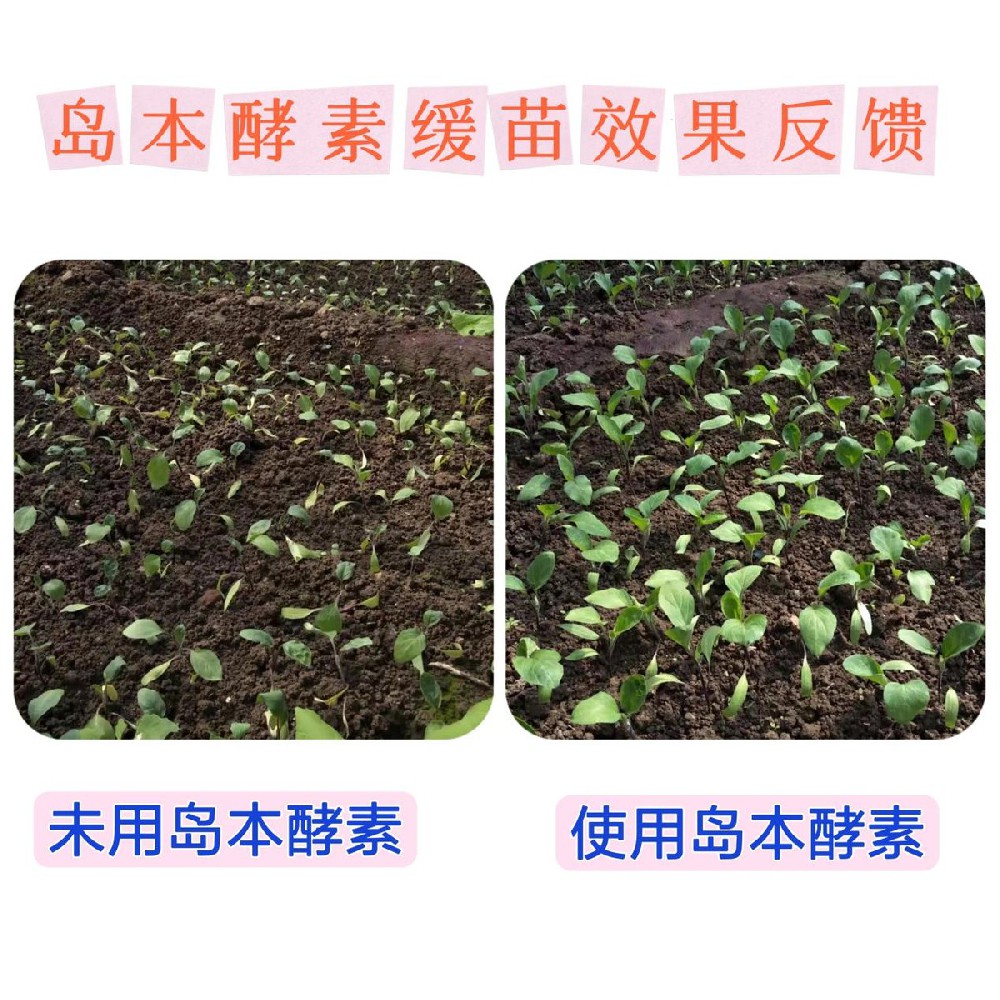 微生物肥料的功能有哪些？