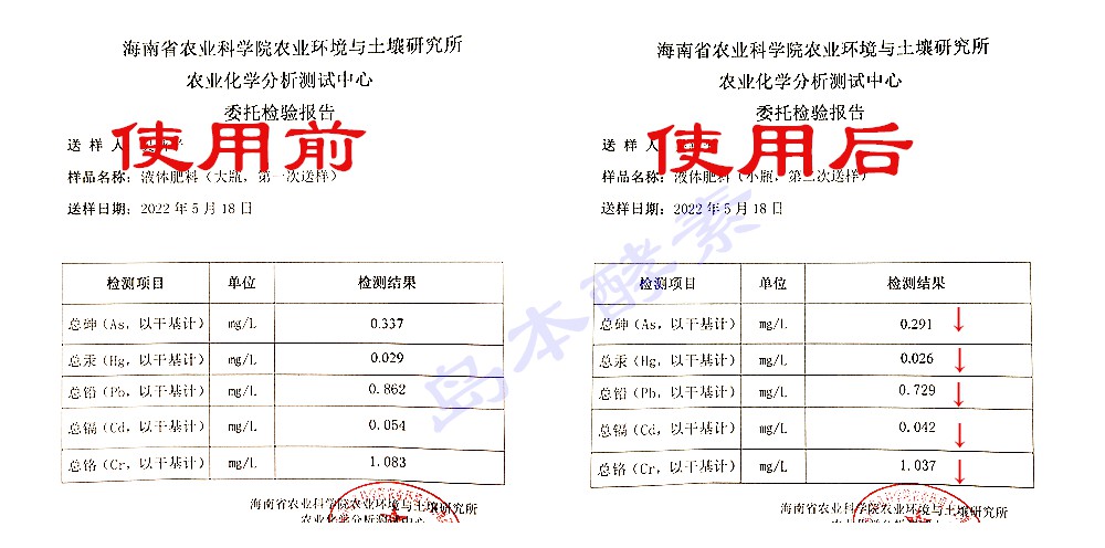 岛本酵素菌技术消除降解重金属的“硬实力”