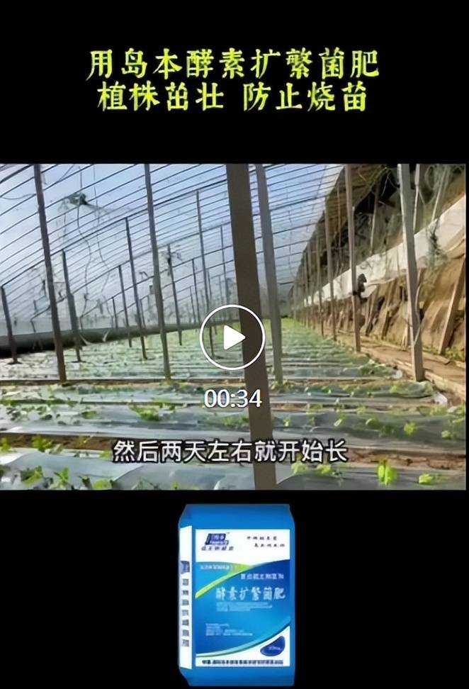 使用微生物肥料可以减少农田有害物质吗？
