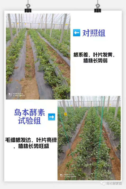 1658882993993848.png image.png