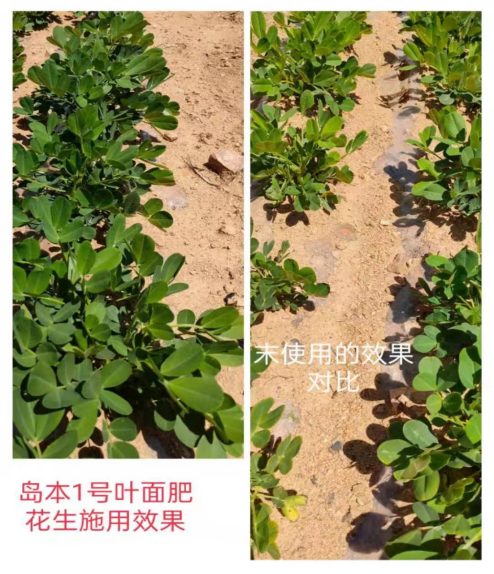 1658883008212741.png image.png