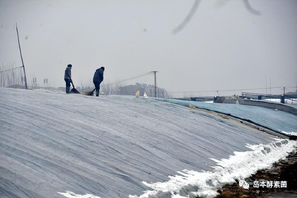 怎样防范连阴雨雪天对温室的危害？