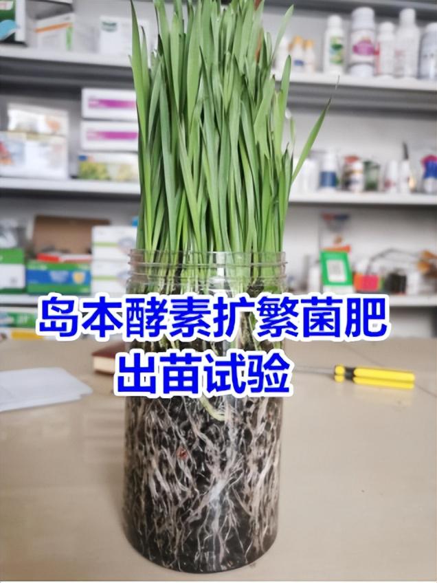 有机肥腐熟度与稳定性有什么关系？