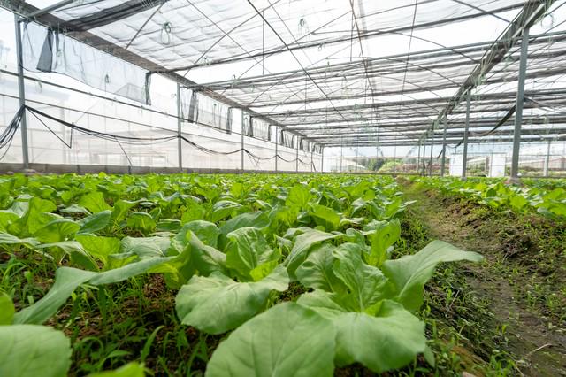 如何评价微生物肥料的功能与效果？