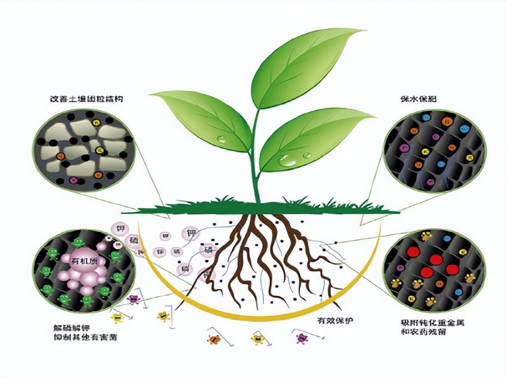 农用微生物菌剂的选用原则与应用要求