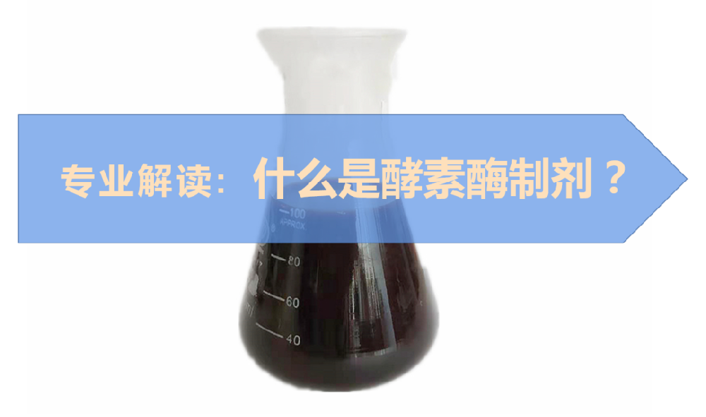 什么是酵素酶制剂？它具体有哪些作用？