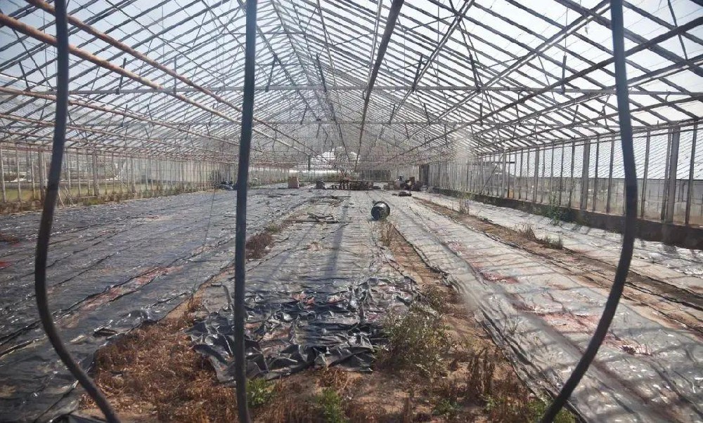 生物闷棚注意事项
