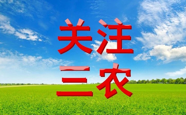 ​【岛本酵素】2024年全国二十届三中全会三农政策及要点分享
