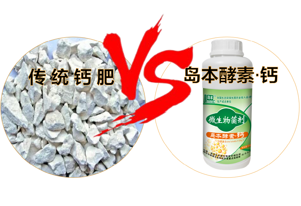 ​“岛本酵素钙”VS“传统钙肥”