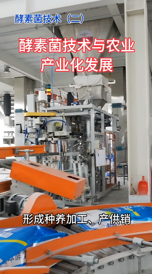 中国酵素菌技术2：酵素菌技术与农业产业化发展