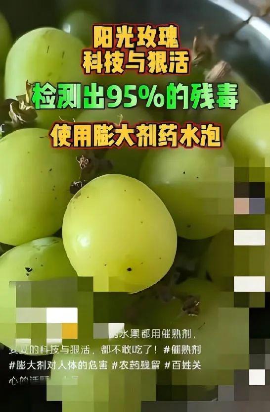 数百项农残检测全为0？降解药残抗重茬，岛本酵素菌剂到底有多神奇！