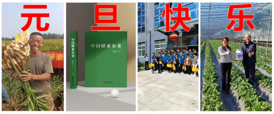 岛本酵素2024年度总结及2025寄语