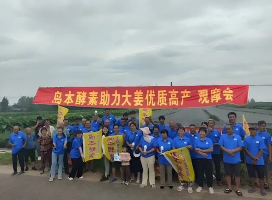 1735785266116555.png 图片5(1).png