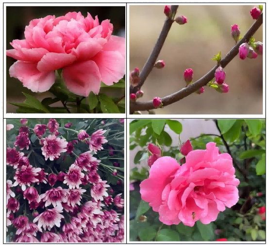 1735786950197922.png 图片10(1).png