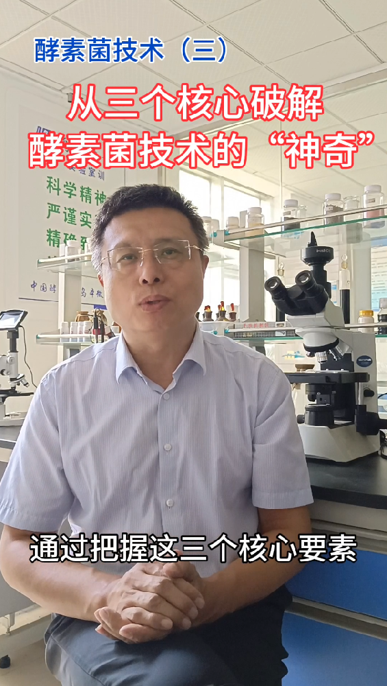 中国酵素菌技术3：了解酵素菌技术的三大核心