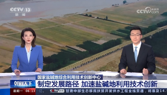 岛本酵素菌技术助力国家盐碱地改良三步走