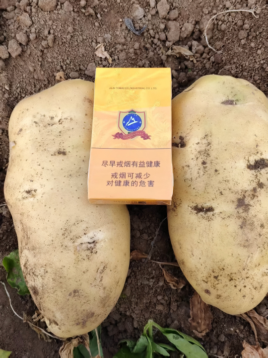 1749795017822934.png 图片2(1).png