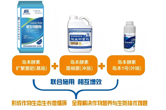 1749795042117259.png 图片4(1).png