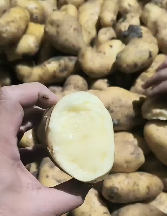 1749795057495345.png 图片6(1).png