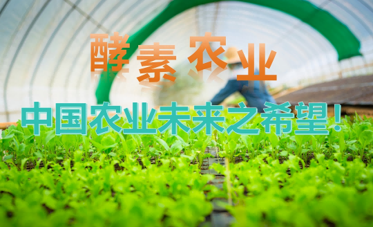 发展酵素农业的意义:为土地与未来播种希望