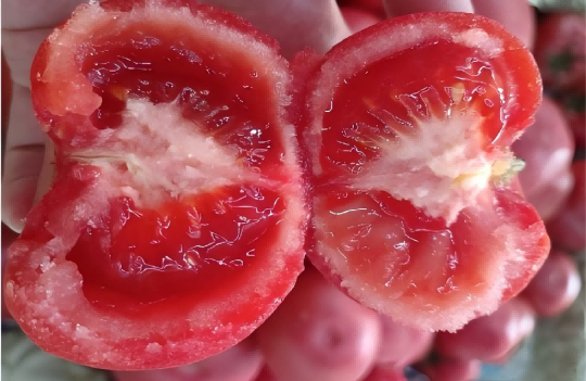 1754371639115598.png 图片2(1).png