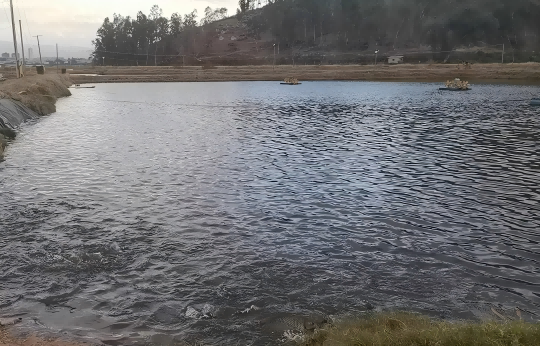 1754373942135395.png 图片9(1).png