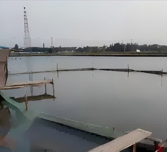 池塘水质管理:守住“活水”命脉,保障养殖丰收!