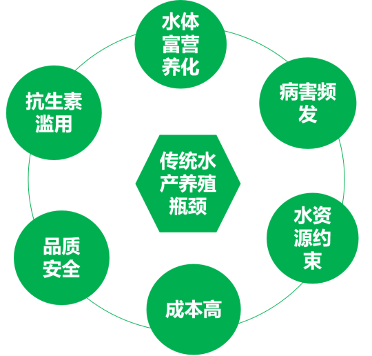 岛本酵素菌养模式:领航水产养殖5.0时代