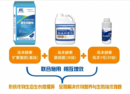 1758002609432609.png 图片3.png