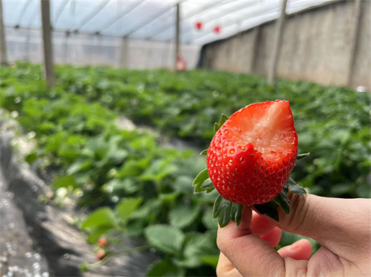 1758002646120194.png 图片4.png