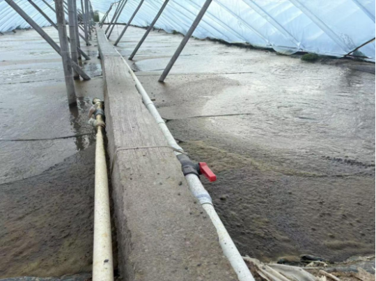 岛本酵素：水产早期秋季常见水质问题解析