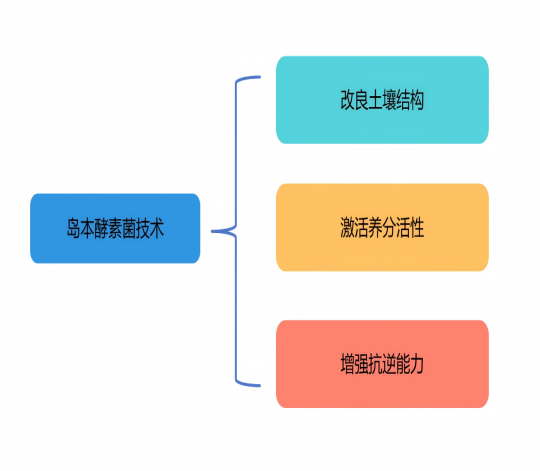 1758790218310300.png 图片4(1).png