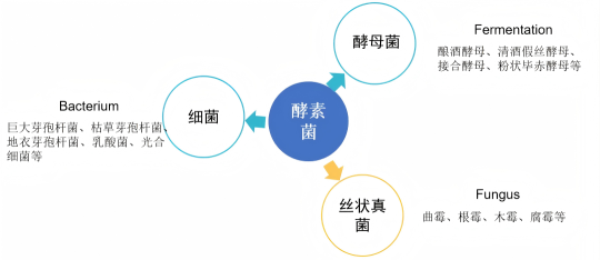 1760600425129931.png 666.png