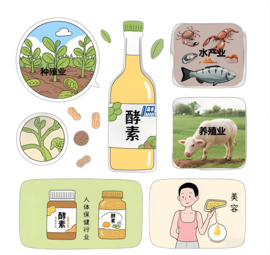 1760600465130934.png 667.png