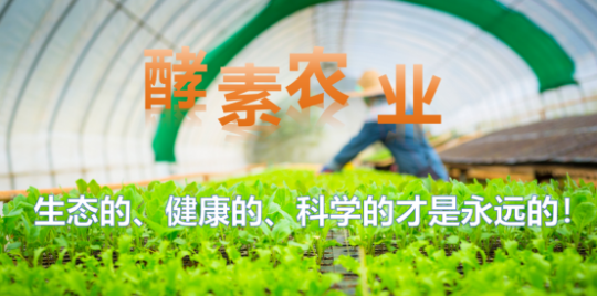 1760600564130557.png 660.png