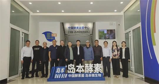 岛本酵素菌是什么菌？