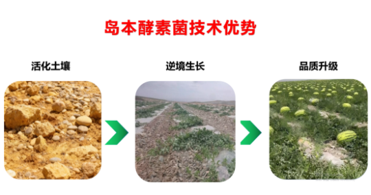 1760602011172387.png 112.png