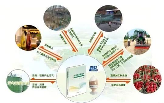 1761877770630575.jpg 2.jpg