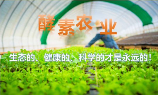 1761877827969715.png 4.png