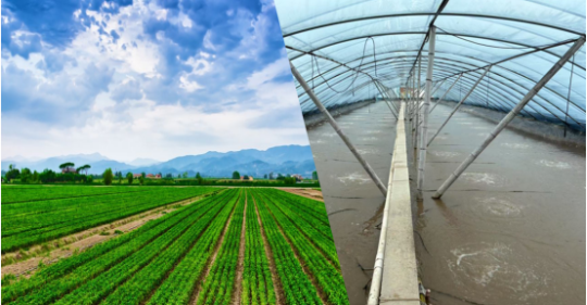 岛本酵素：耕者安心，食者心安