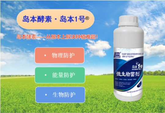 1761898109170188.png 13.png