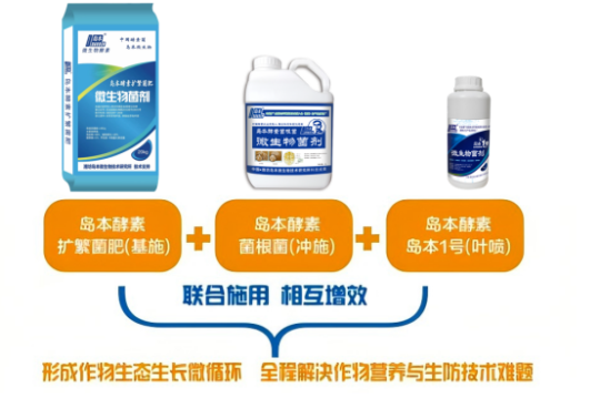 1763011886174552.png 2.png