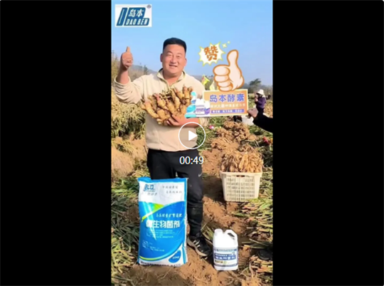 1763011975136942.png 3.png