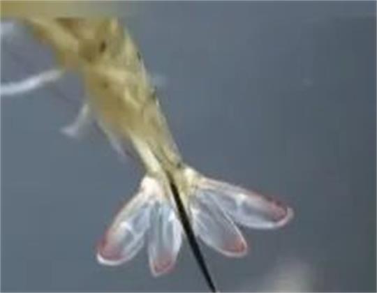 1763012546473057.jpg 5.jpg