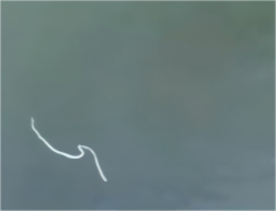 1763012558187246.png 6.png