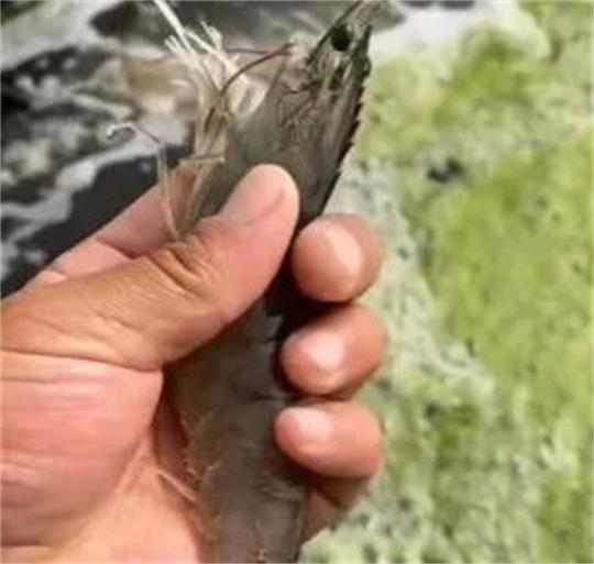 1763012607256535.jpg 7.jpg