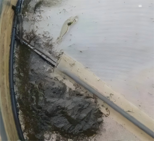 1763012619198278.png 8.png